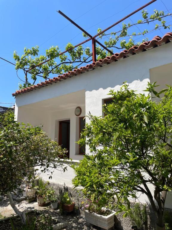 Vila Cano Boutique Durres Exterior photo